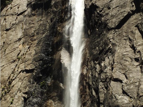 Levend water