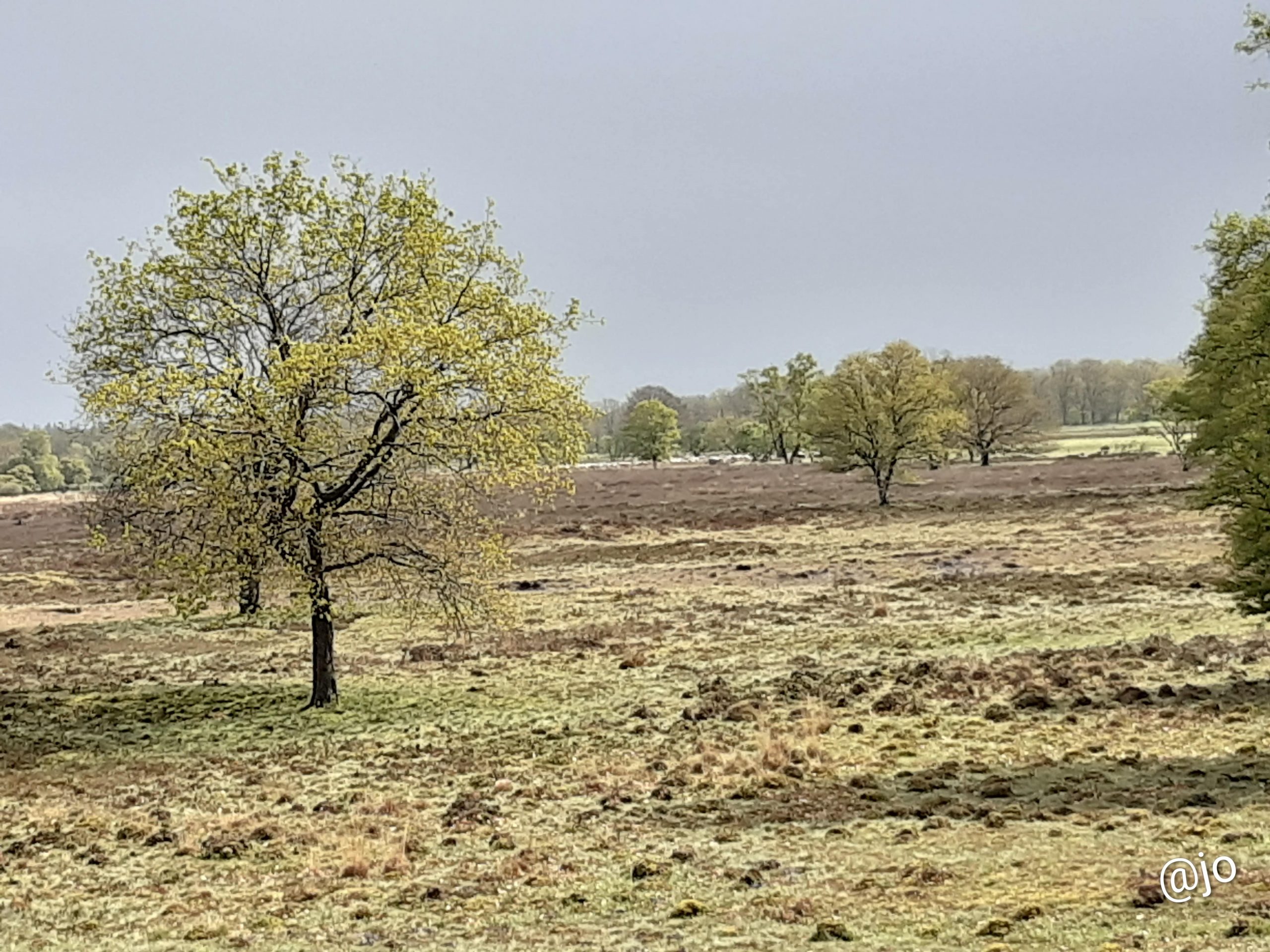 De Beemdgangers
