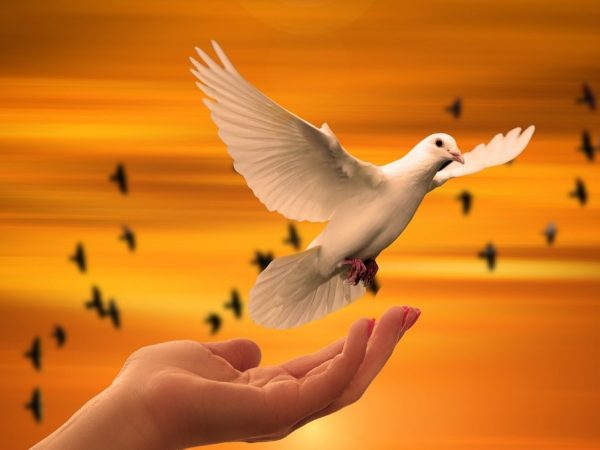 Achtste zondag van de herfst